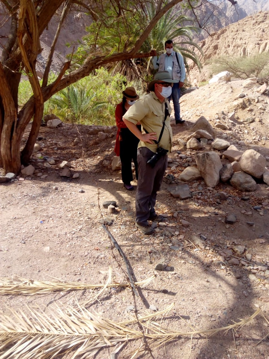 زيارة الوفد لجنوب سيناء