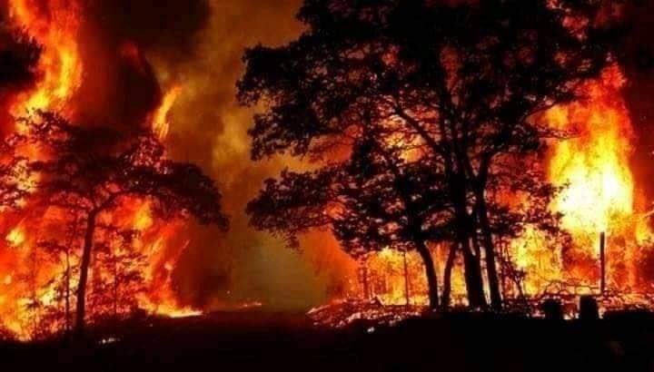 سوريا تحترق لليوم الرابع على التوالي