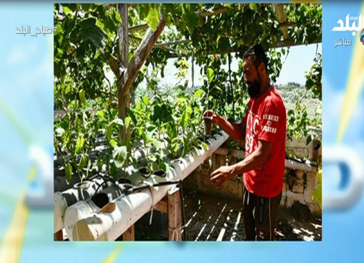 قرية نجع عون بالبحيرة