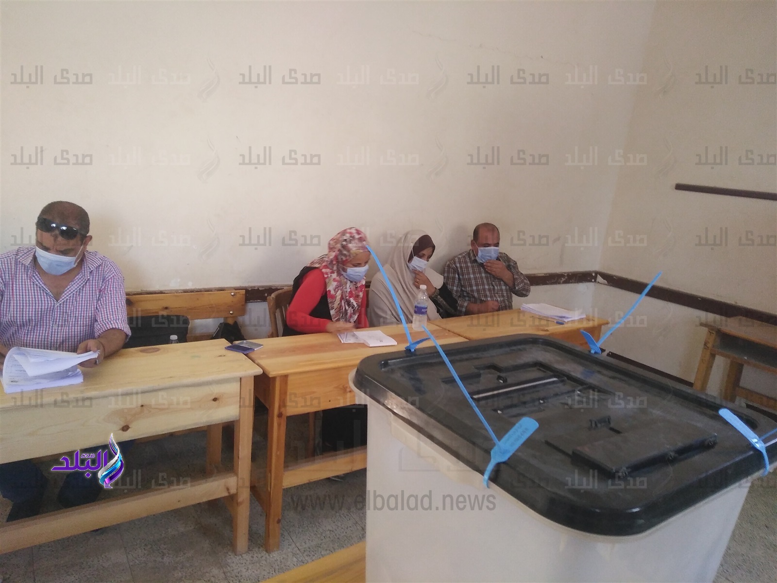 انتخابات مجلس الشيوخ
