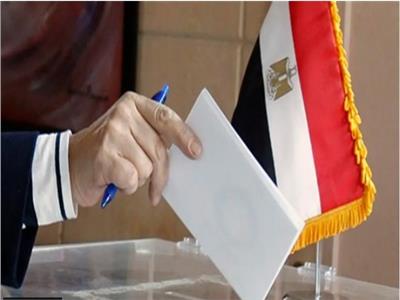 انتخابات مجلس الشيوخ بالبحيرة