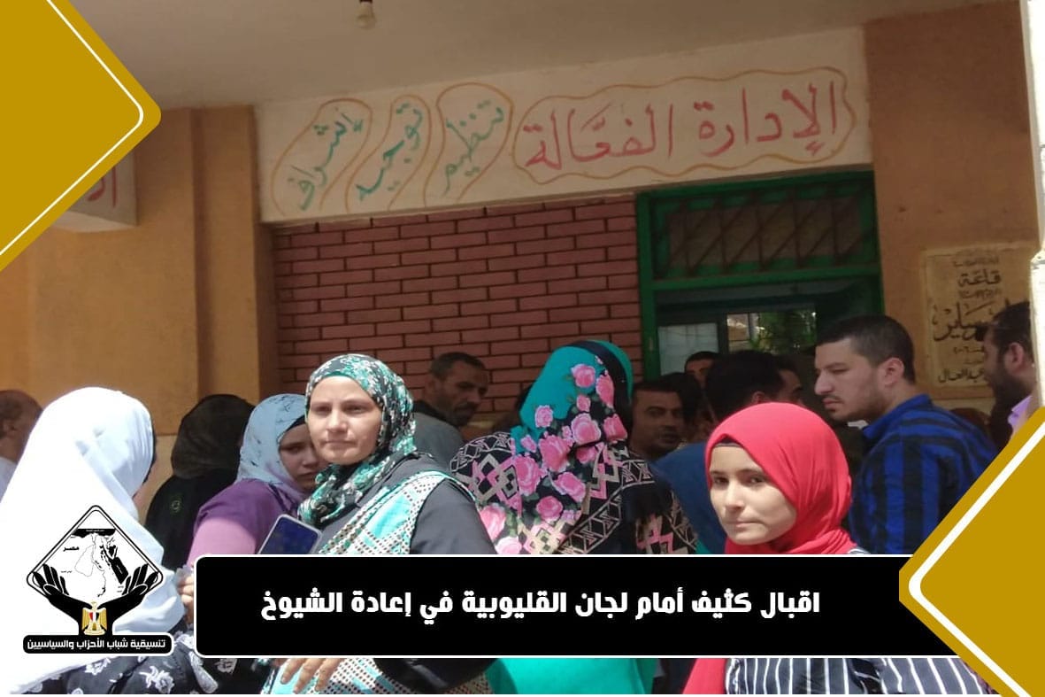 لجان القليوبية
