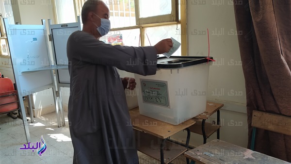 انتخابات مجلس الشيوخ  انتخابات مجلس الشيوخ