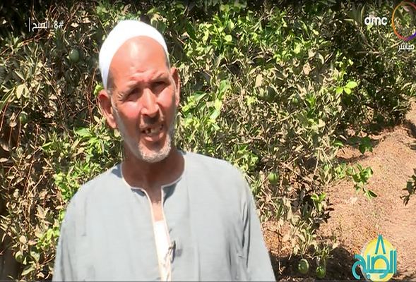 عم عبد الناصر