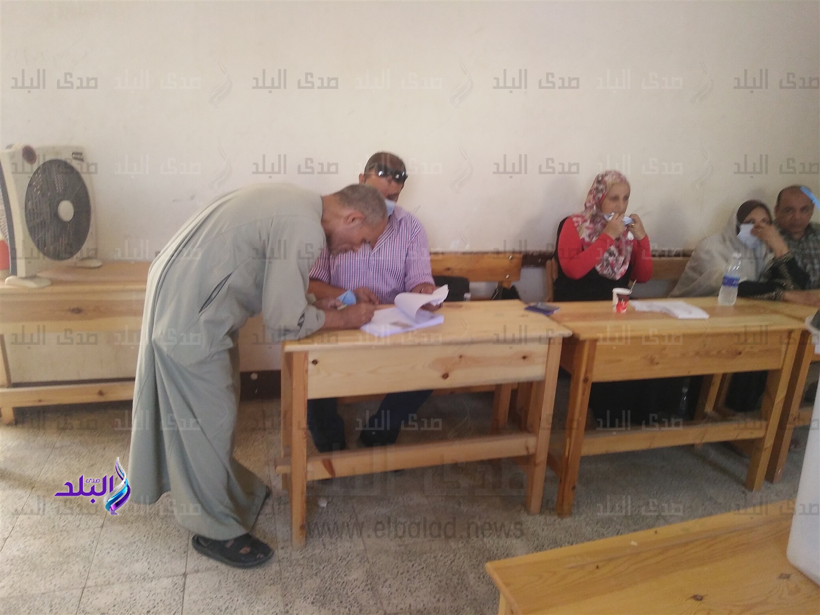 انتخابات مجلس الشيوخ 
