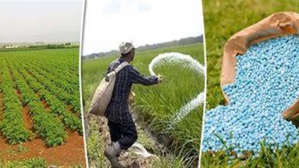  الفلاح سبب رئيسي في زيادة الصادرات