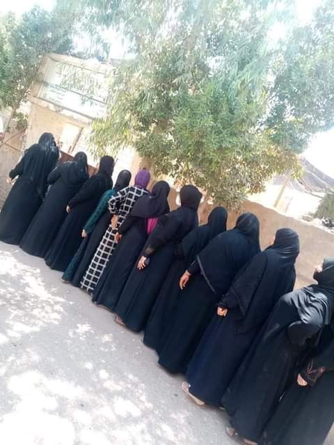 انتخابات مجلس الشيوخ 