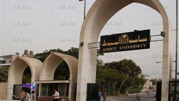 جامعة أسيوط