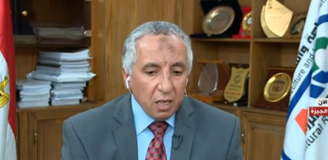 الدكتور محمد سليمان، رئيس مركز البحوث الزراعية