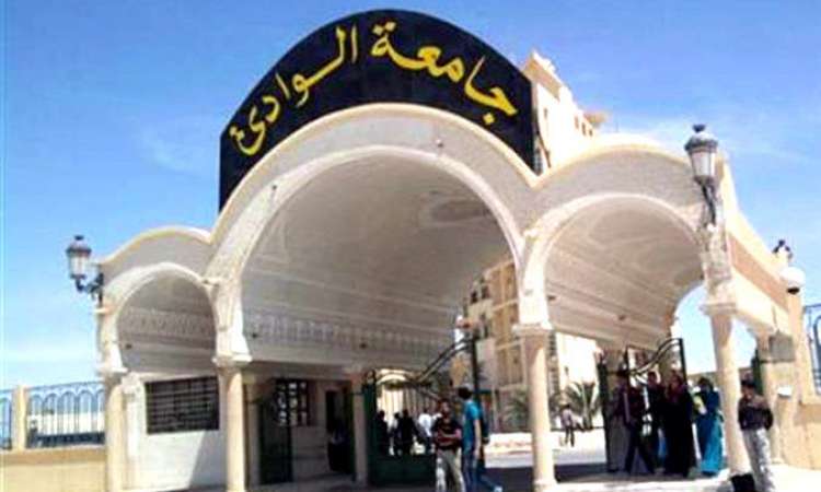 جامعة جنوب الوادي 