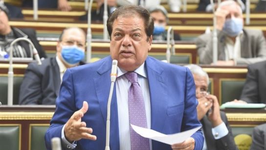 النائب محمد ابو العينين 