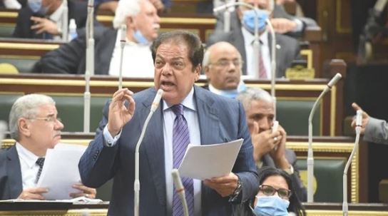النائب محمد أبو العينين
