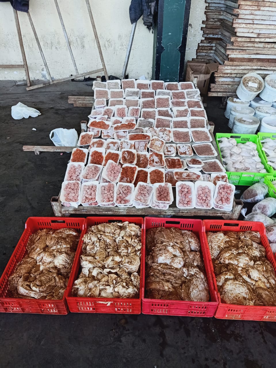 صورة ارشيفية