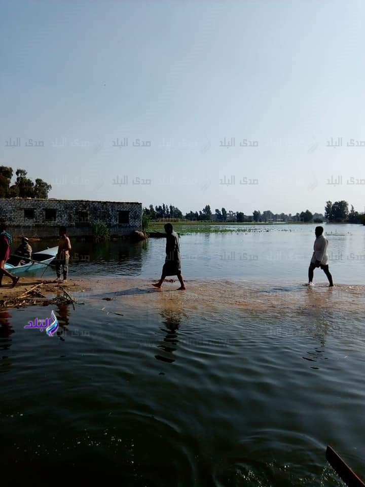 الجزيره المنعزلة في المنوفية الجزيره المنعزلة في المنوفية