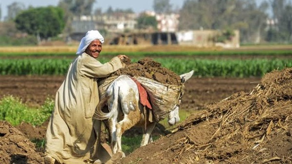 وزير الأوقاف