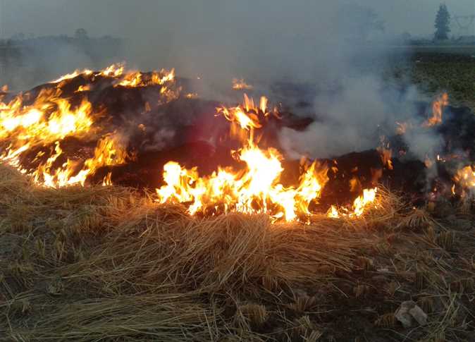 حريق فى شونة