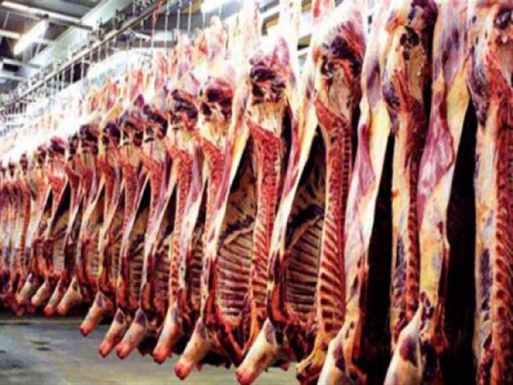 الأوقاف: توزيع (14) طن لحوم أضاحي غدًا الأحد