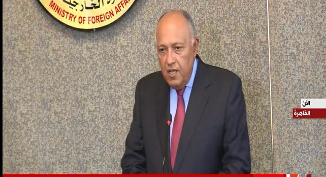 سامح شكرى وزير الخارجية 