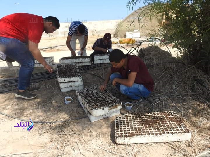 قلة المراعي الطبيعية تهدد الثروة الحيوانية في مطروح