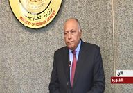 سامح شكري وزير الخارجية