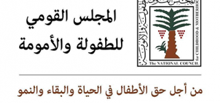 المجلس القومي للطفولة والامومة