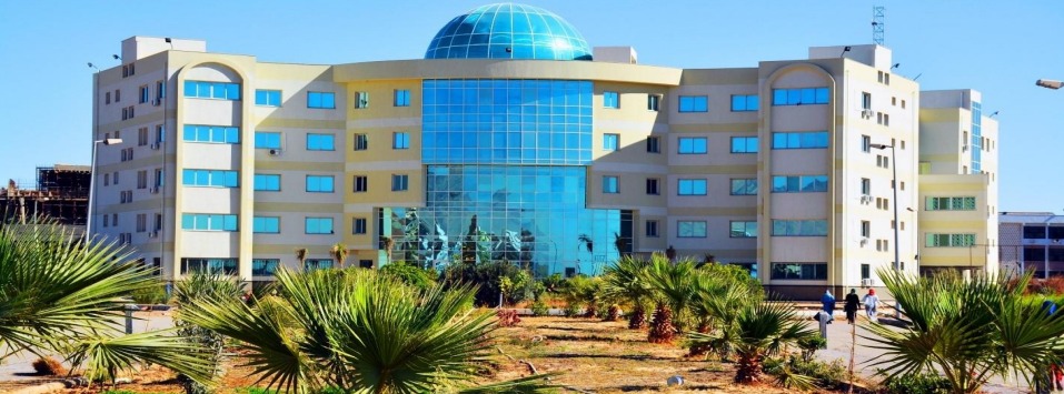 جامعة السويس