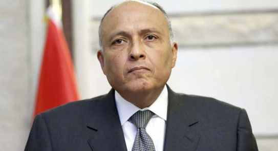 سامح شكري
