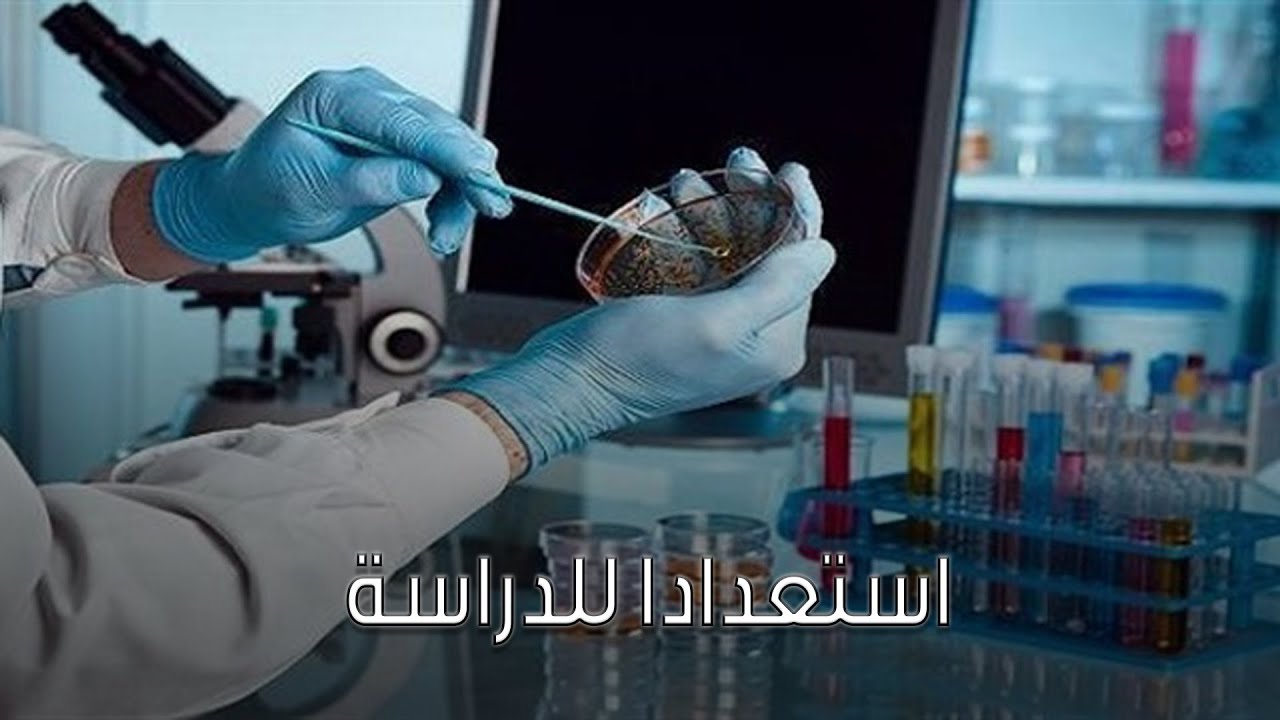 معامل الجامعات المصرية 