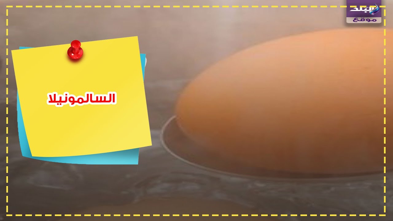 السالمونيلا