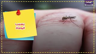 البعوض الاسيوي