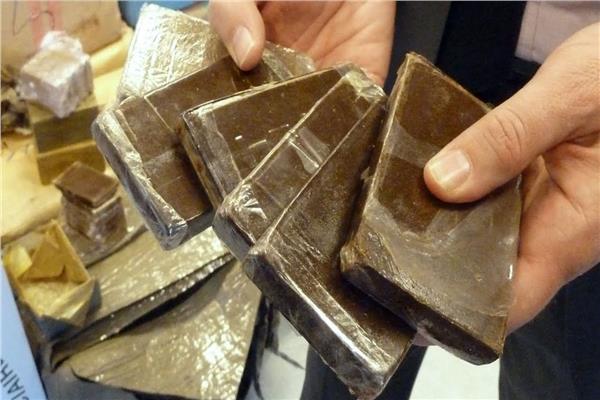 ضبط ١٥ طربة حشيش
