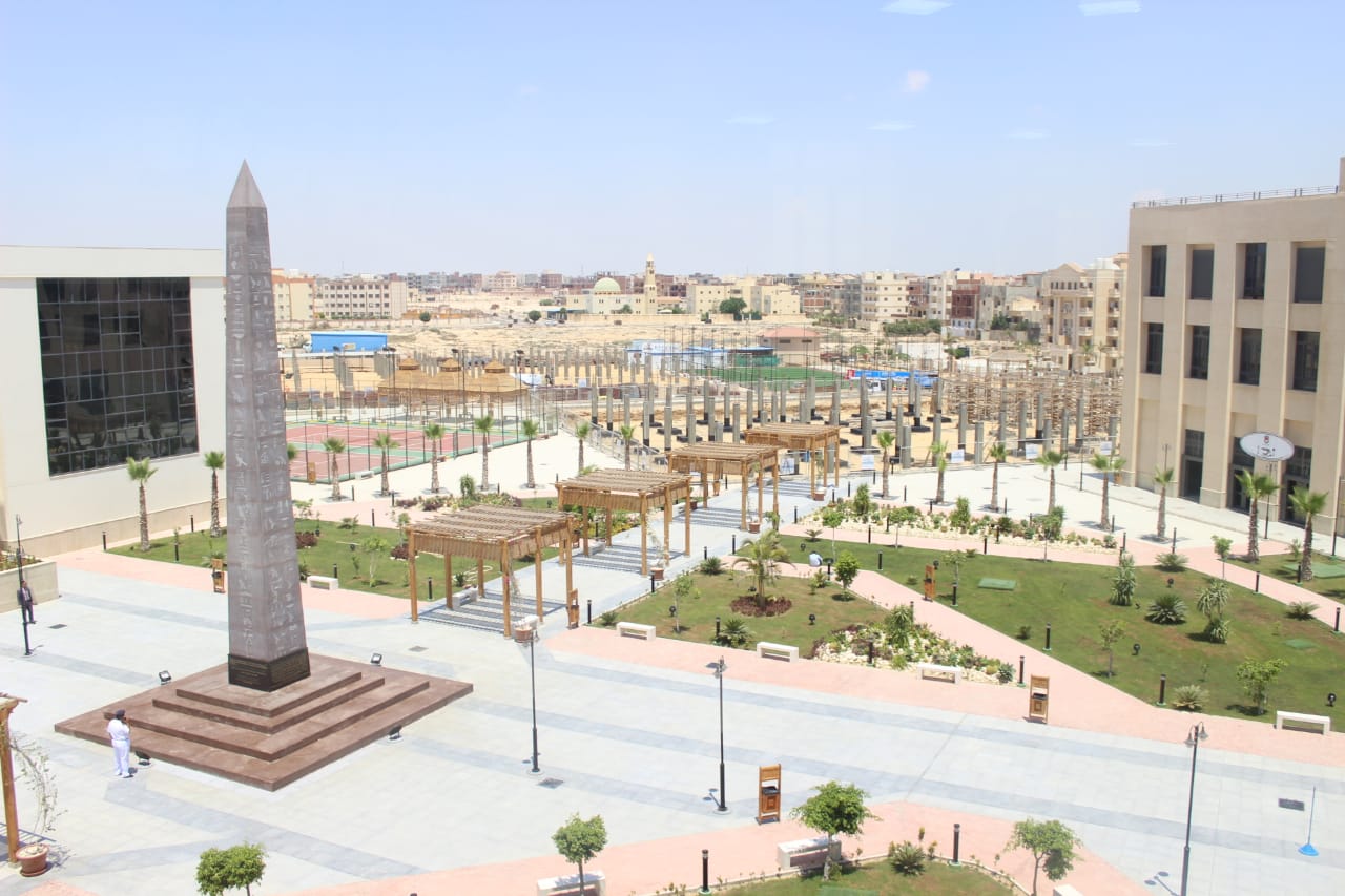 الجامعة المصرية اليابانية 