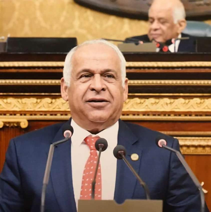 المهندس فرج عامر