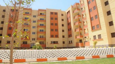 تطوير العشوائيات 