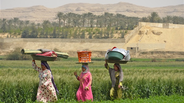تطوير الريف المصري