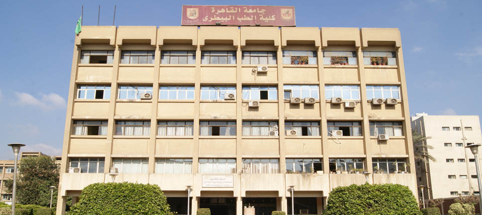 كلية الطب البيطري