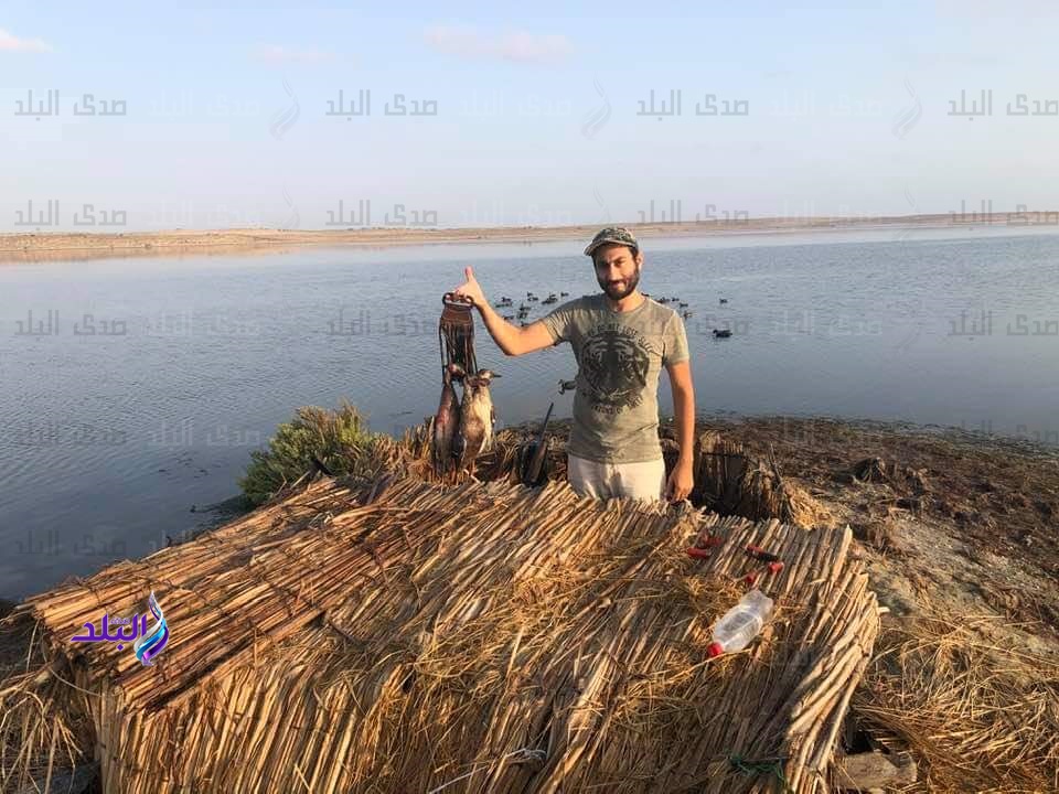 البط الشرشير