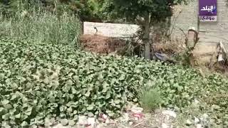 ترعة نزلة الأشطر بالجيزة