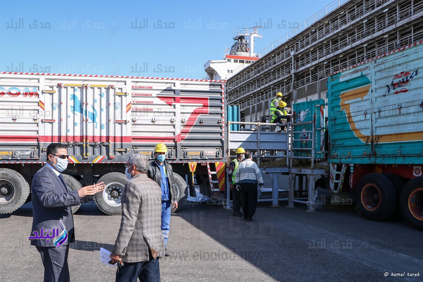 ميناء دمياط ميناء دمياط