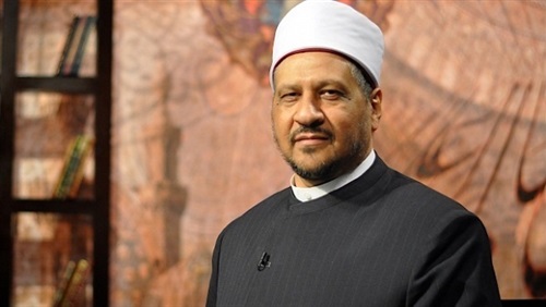 د. مجدي عاشور