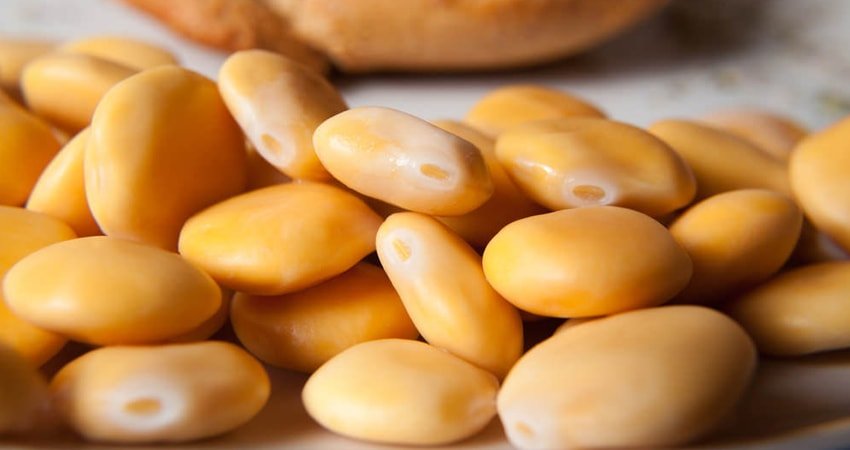فوائد أكل الترمس قبل النوم