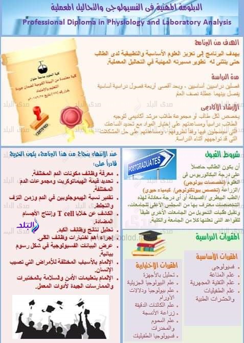 الدبلومة المهنية