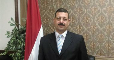 الدكتور أيمن حمزة المتحدث باسم وزارة الكهرباء