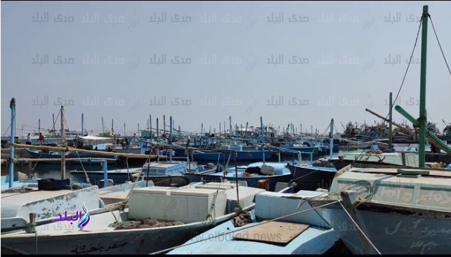 صيادو البحر الاحمر يعانون سنويا بسب المنع