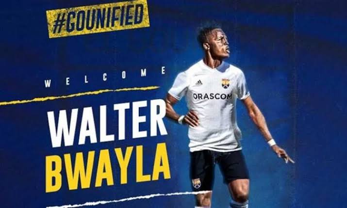 والتر بواليا