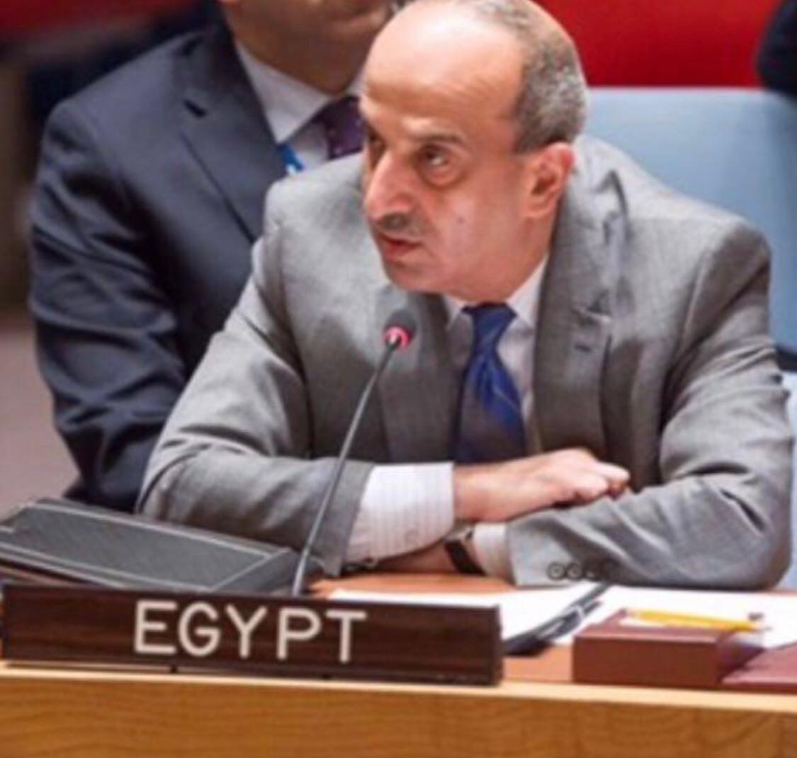 السفير أسامة عبد الخالق
