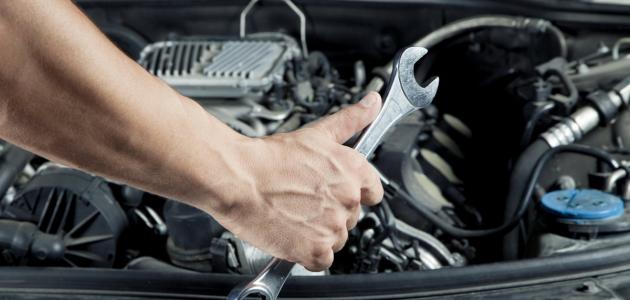وظيفة البلاتين وظيفة البلاتين