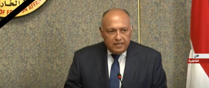 سامح شكرى، وزير الخارجية المصرية