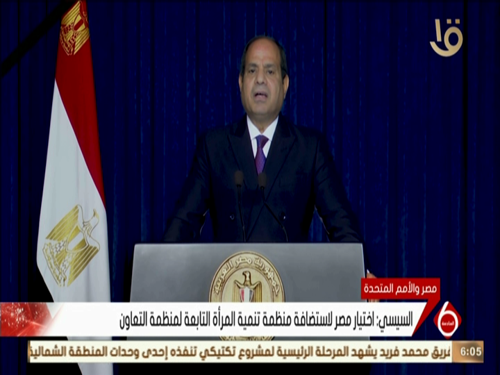 الرئيس عبد الفتاح السيسى