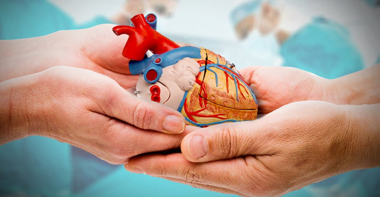 حكم التبرع بالأعضاء أثناء الحياة وبعد الممات.. الإفتاء تجيب